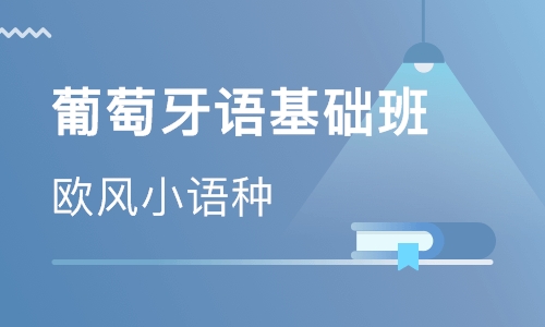 大學(xué)葡萄牙語專業(yè)有哪些課程